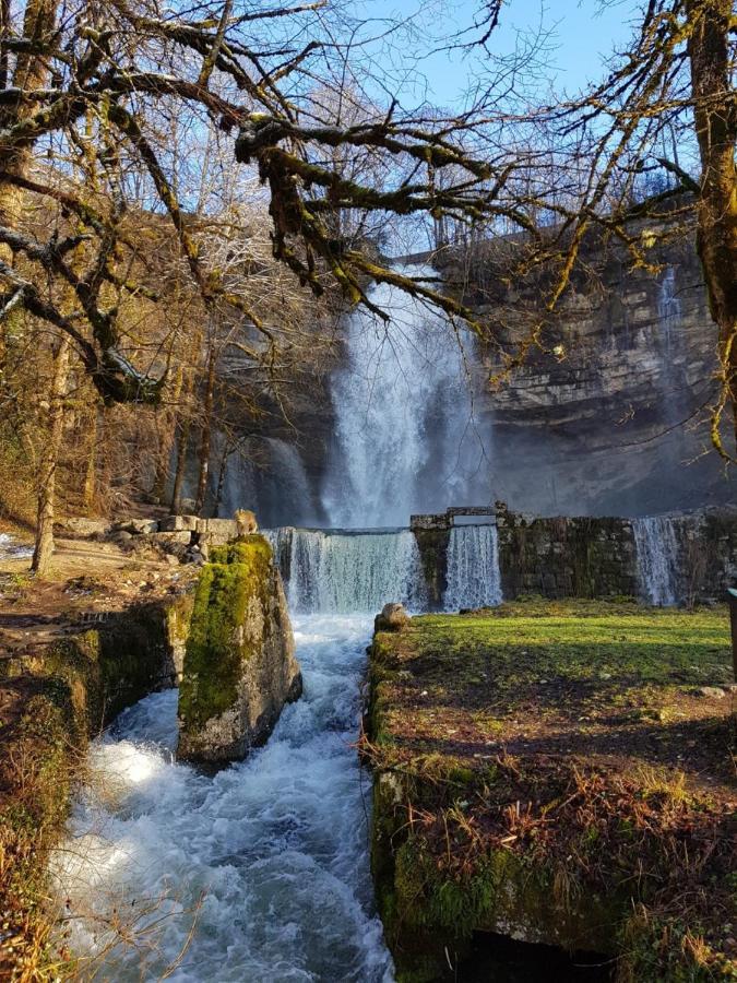 Gite Grande Capacite Au Calme Circuit Cascades Du Herisson Bonlieu エクステリア 写真